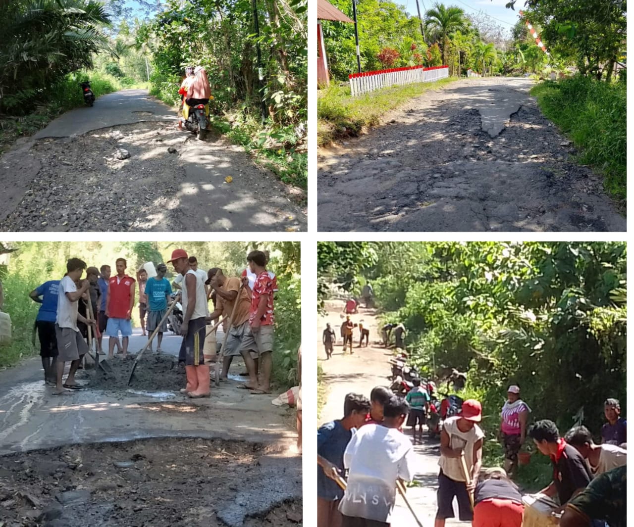 Masyarakat desa Ponto saat memperbaiki Jalan Kabupaten yang tak kunjung diperbaiki Pemkab Minut.