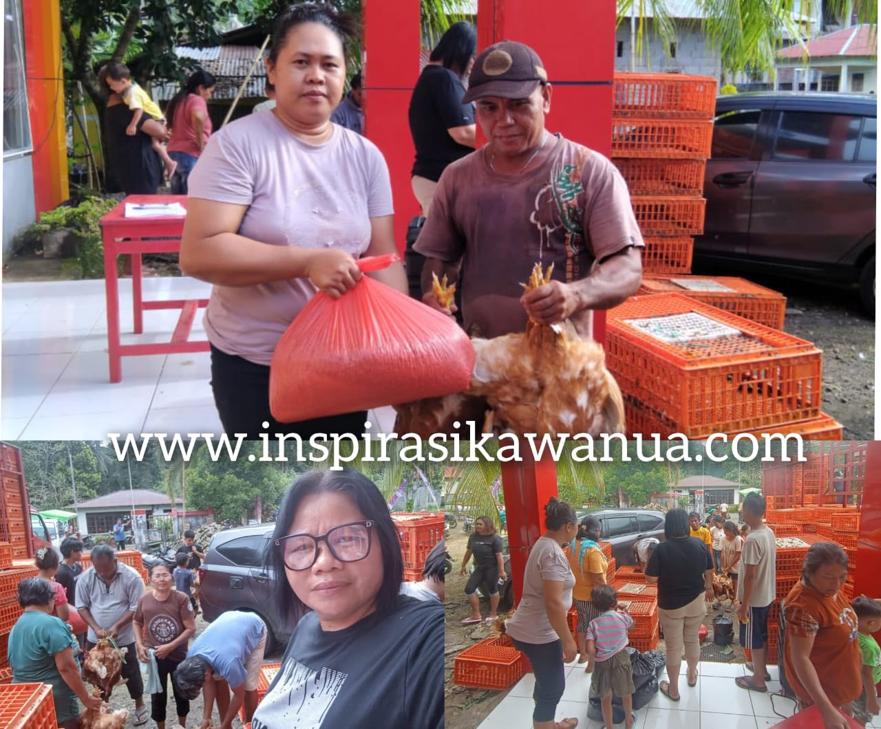 Pemerintah desa Ponto saat menyalurkan ayam petelur beserta pakanya kepada masyarakat.